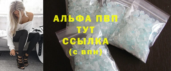 ГАЛЛЮЦИНОГЕННЫЕ ГРИБЫ Ельня