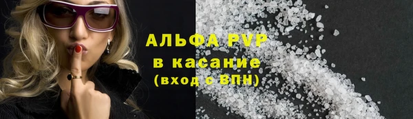 ГАЛЛЮЦИНОГЕННЫЕ ГРИБЫ Ельня