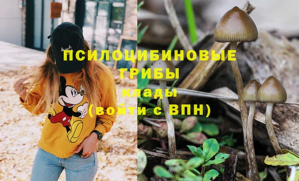 mix Елабуга