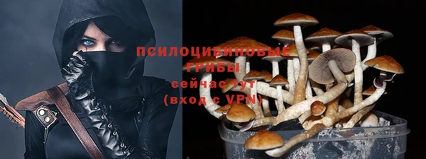 винт Дмитровск