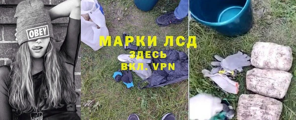 ГАЛЛЮЦИНОГЕННЫЕ ГРИБЫ Ельня