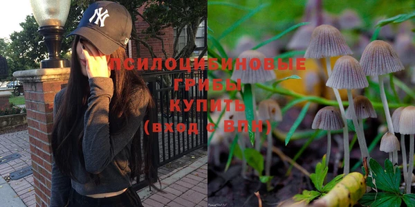кристаллы Дмитров