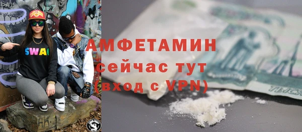 ГАЛЛЮЦИНОГЕННЫЕ ГРИБЫ Ельня