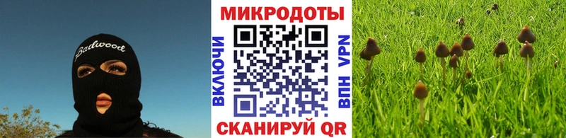 Галлюциногенные грибы Cubensis  Купить закладки  Дудинка 